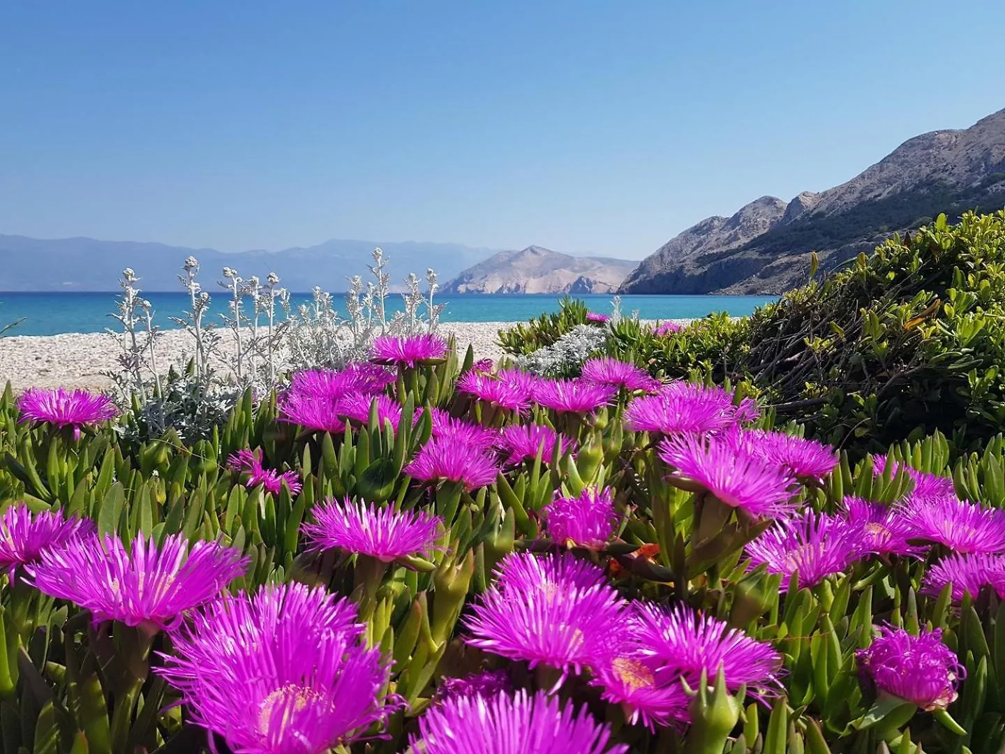 Affittacamere Apartments Osmanovic Baška Croazia